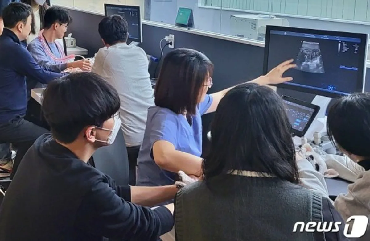 KAHA GE 초음파 아카데미 보도 사진