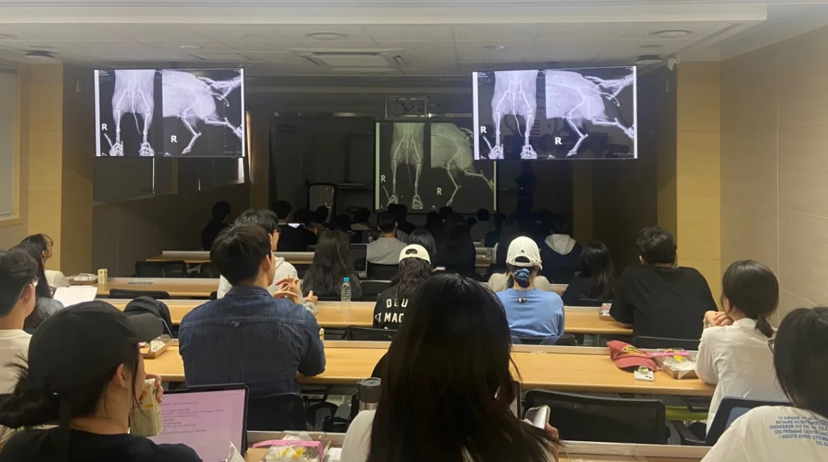경북대학교 수의학술제 영상 진단보조 AI 강연