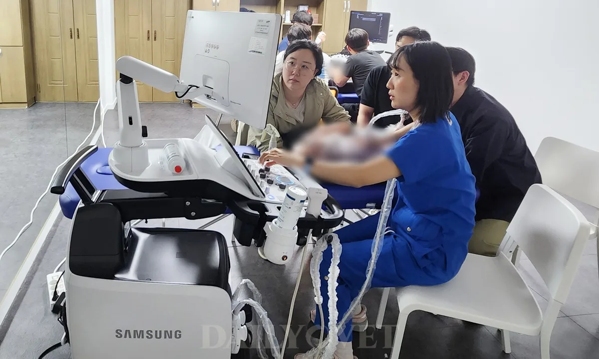 KAHA 삼성메디슨 임상수의사 초음파 실습교육